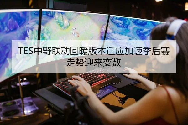 TES中野联动回暖版本适应加速季后赛走势迎来变数 | Bandao